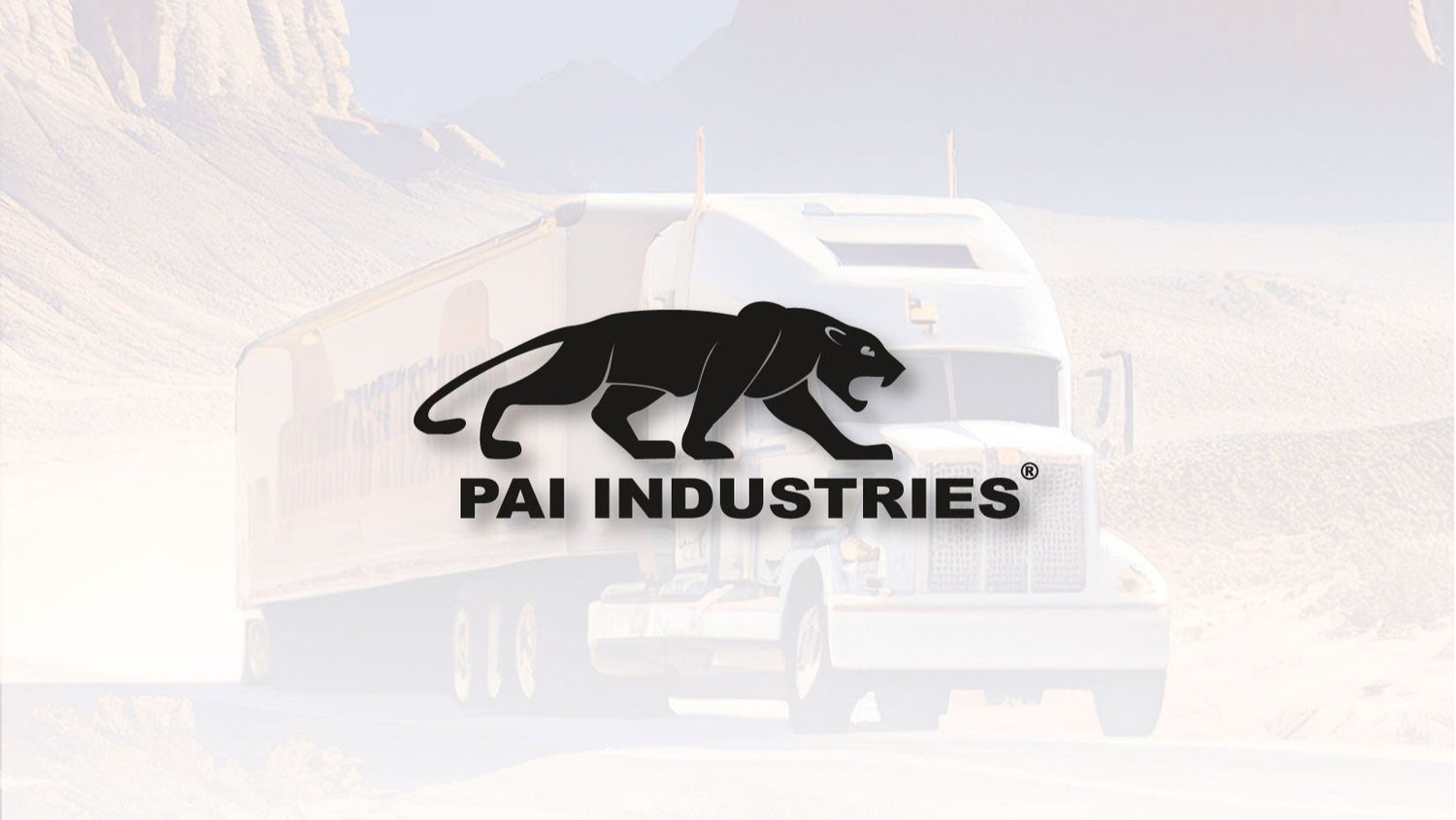 Repuestos PAI Industries