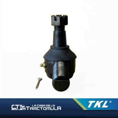 Terminal (Izquierdo)